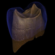 Digital reconstruction of a Neanderthal tooth found in a Polish cave.